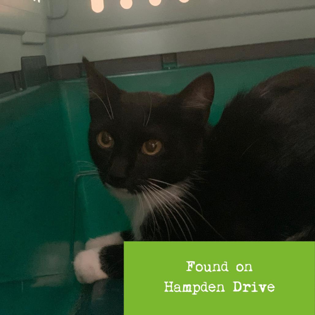 Sydney — thumbnail 4