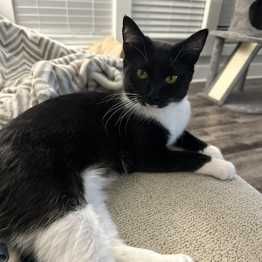 Sydney — thumbnail 5