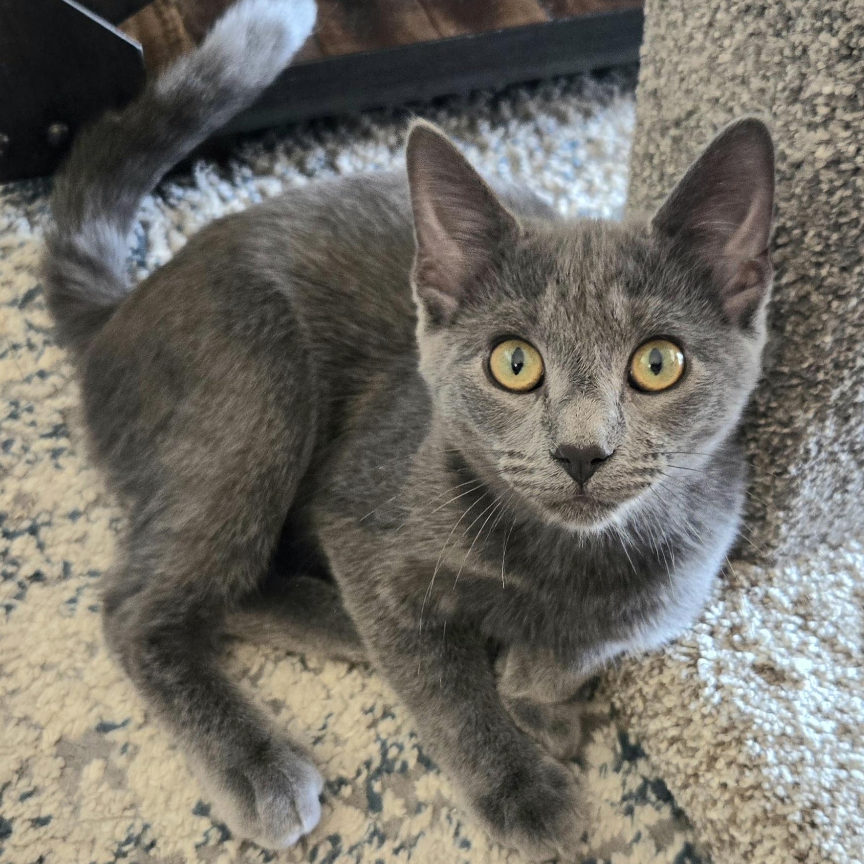 Karma — thumbnail 2