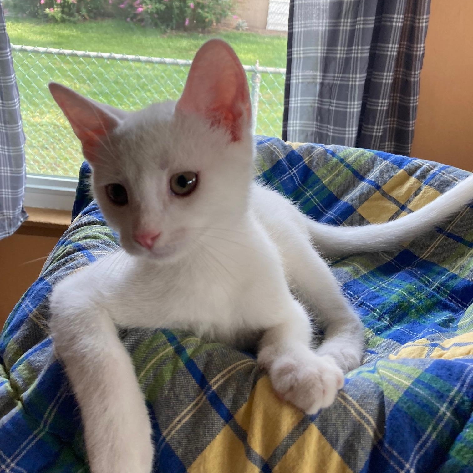 Casper