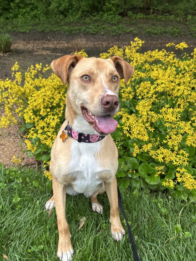 Scarlett thumbnail 6