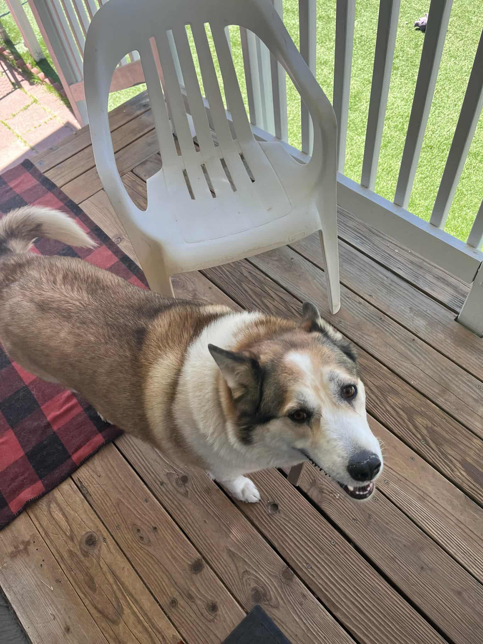 Baby Girl - URGENT