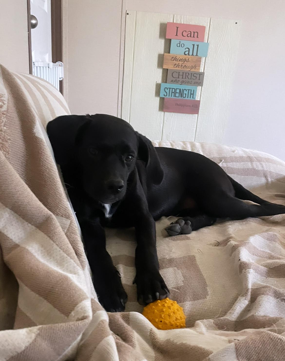 Ellie Mae “Snidely”