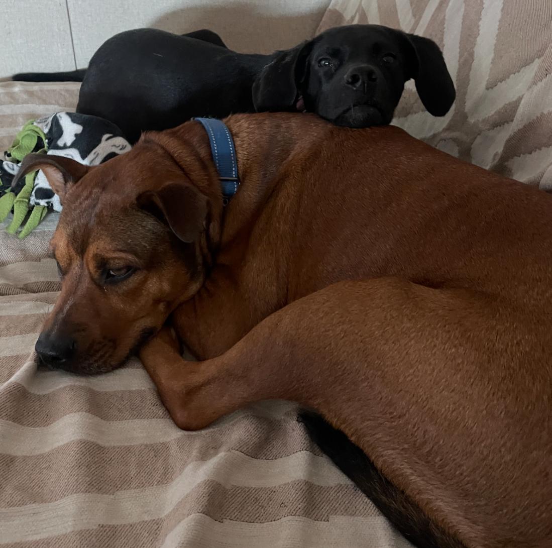 Ellie Mae “Snidely”