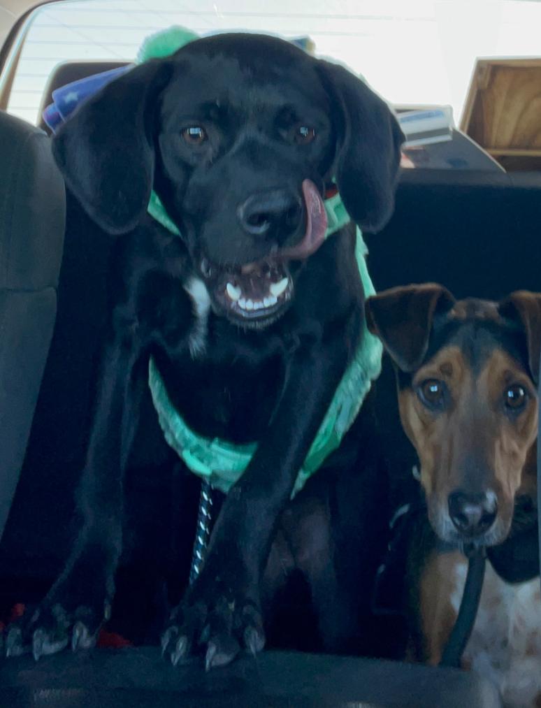 Ellie Mae “Snidely”