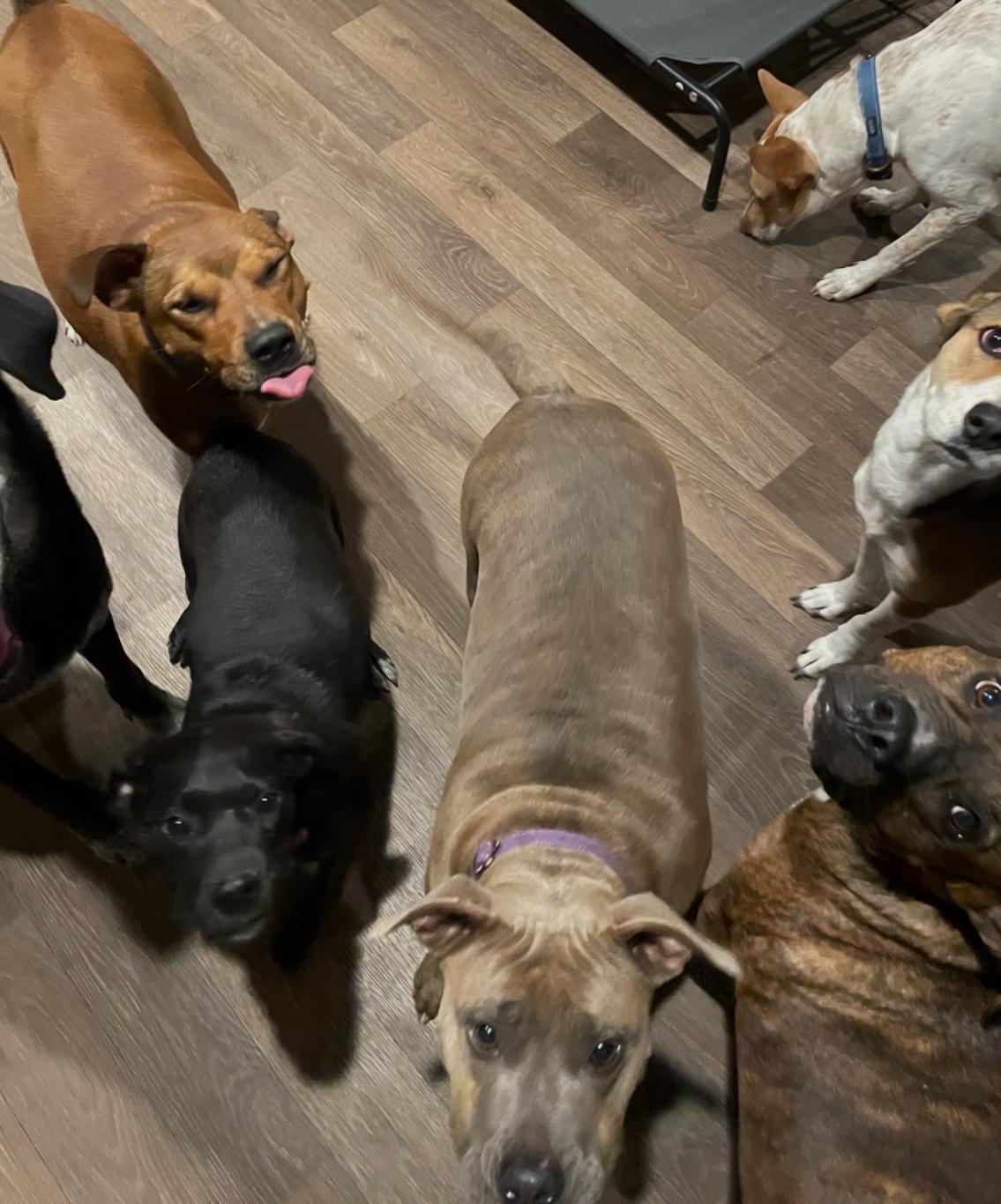 Ellie Mae “Snidely”