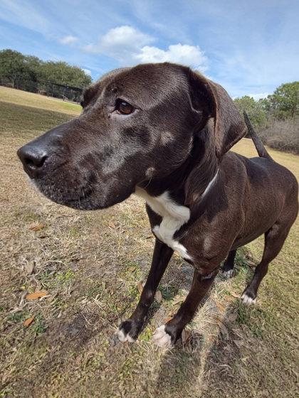 Winnie — thumbnail 2