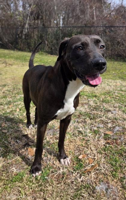 Winnie — thumbnail 3