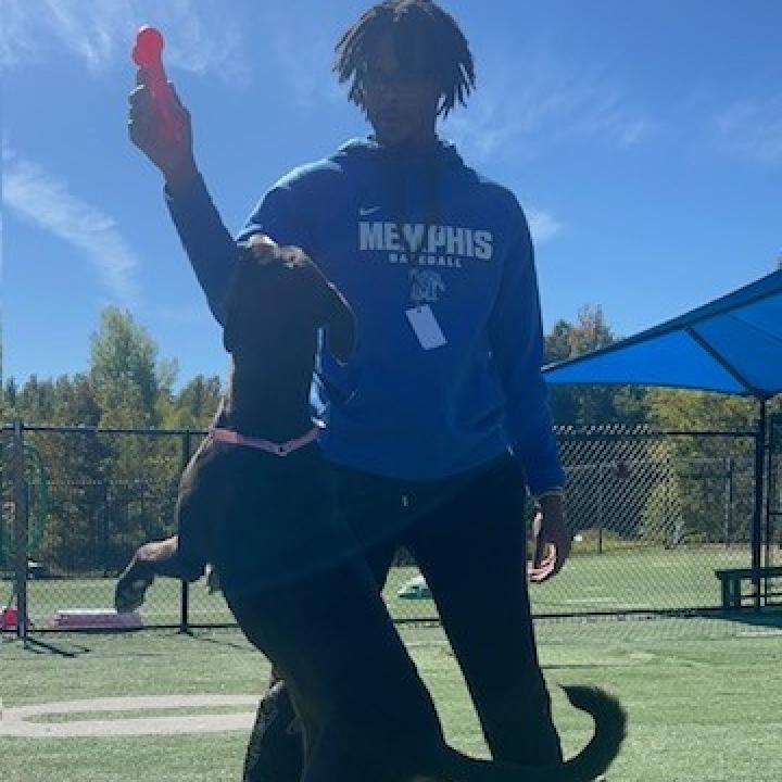 Enlarge Leah, a Adoptable mixed breed in Memphis, TN image 2/6