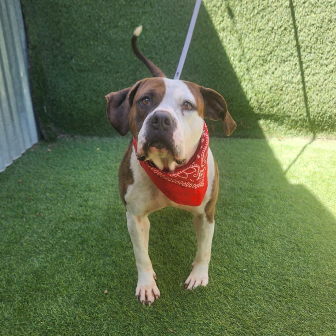 Kiara — thumbnail 4