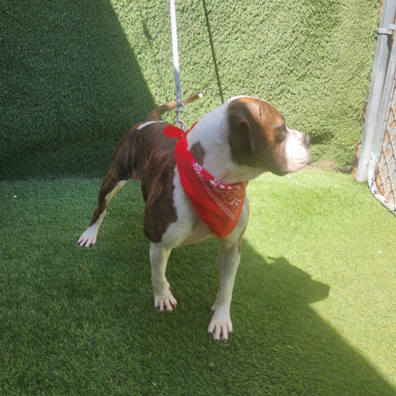 Kiara — thumbnail 6