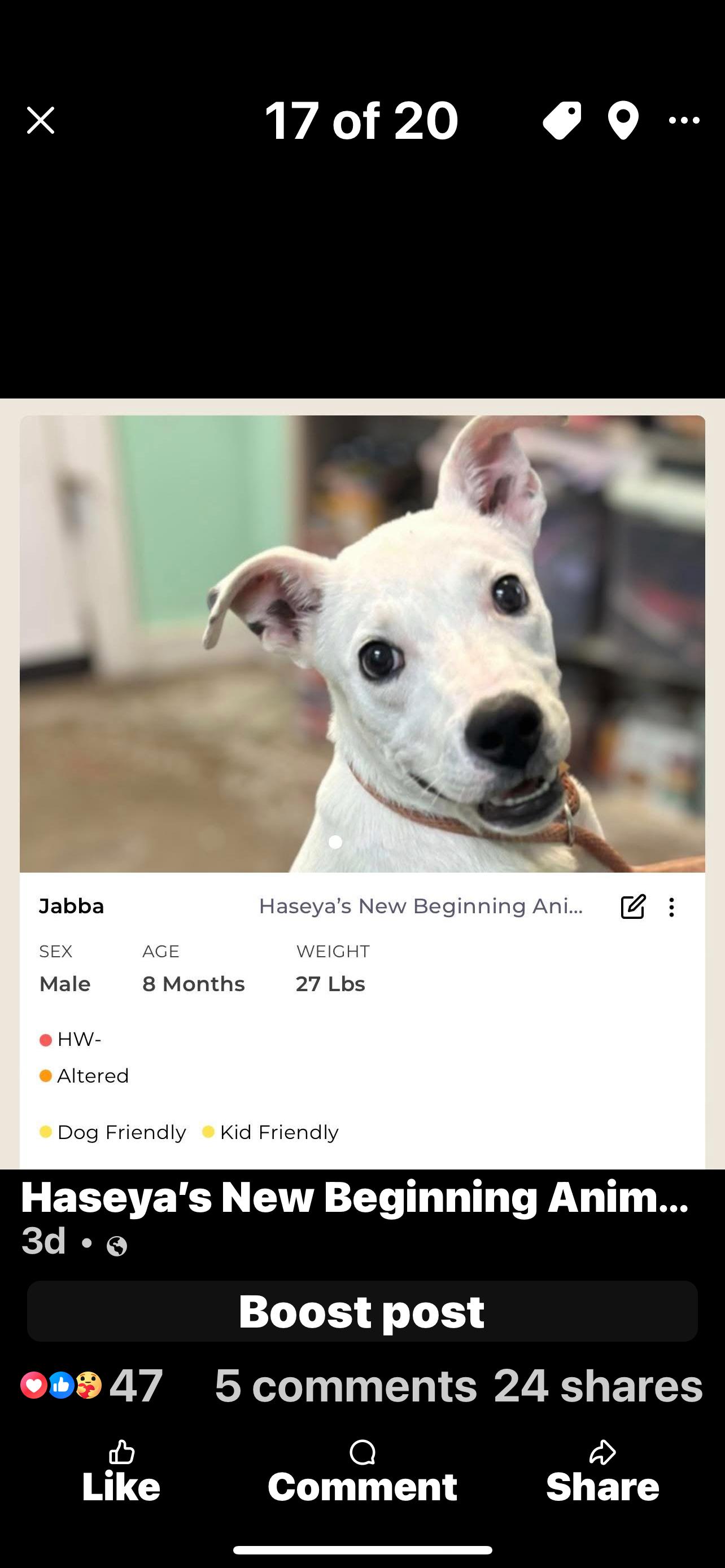 Jabba