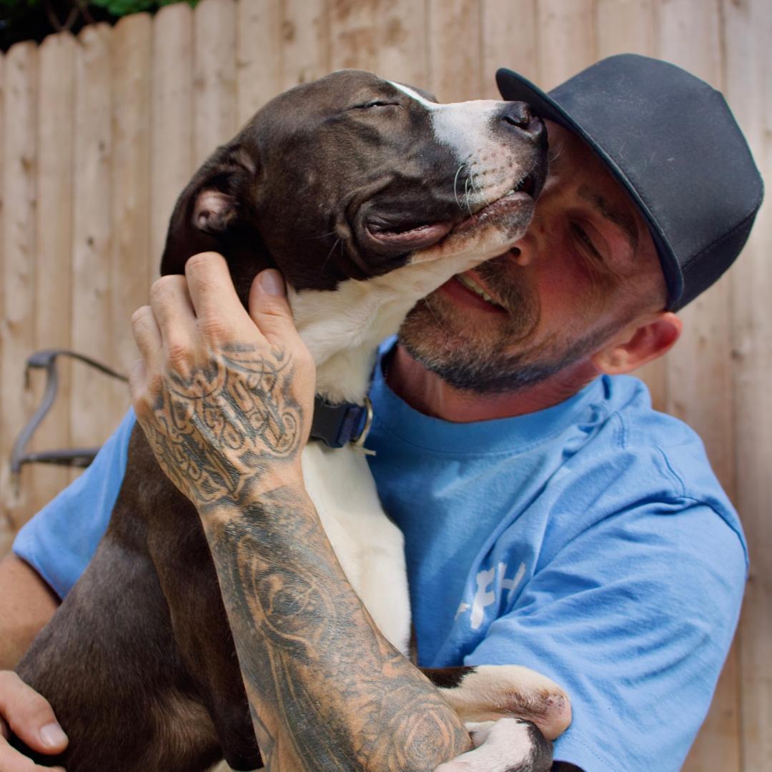 Bobbi, a Adopted mixed breed in Staten island, NY image 4/4