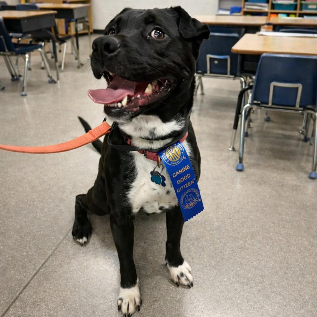 Shadow **PUPS FOR PAROLE GRADUATE** — thumbnail 6