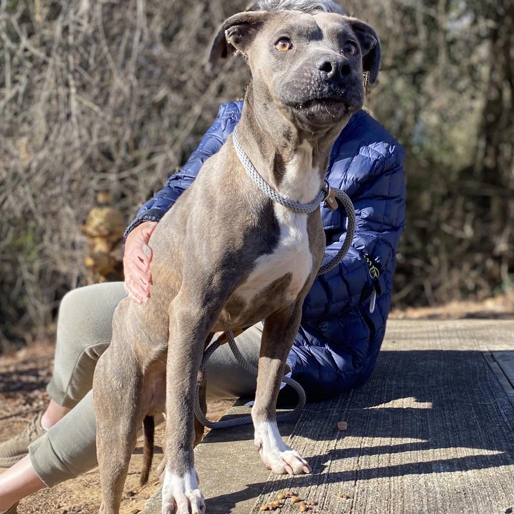 Pickle 4788 — thumbnail 6