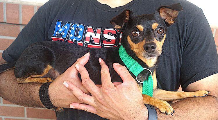 Hank photo 2