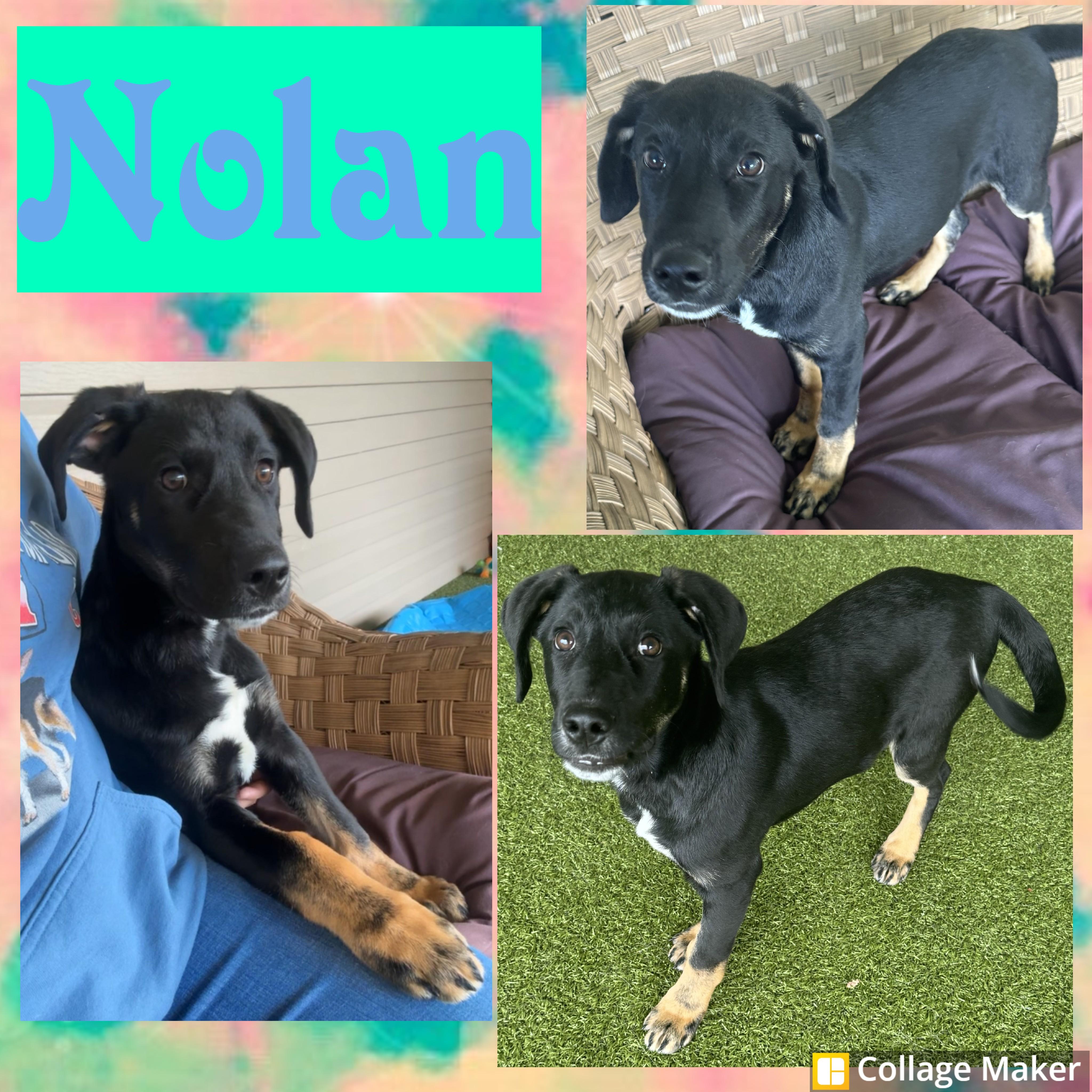 Nolan