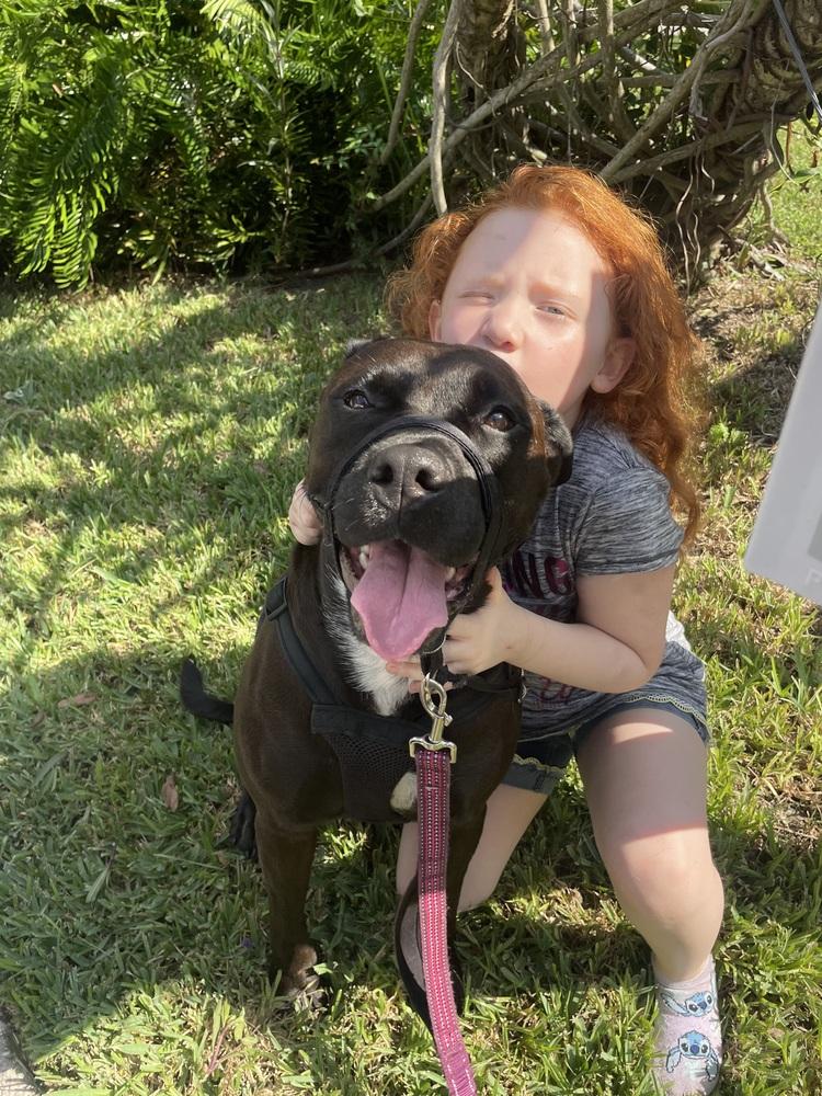 Sweetie, a Adoptable mixed breed in Saint Augustine, FL image 3/6