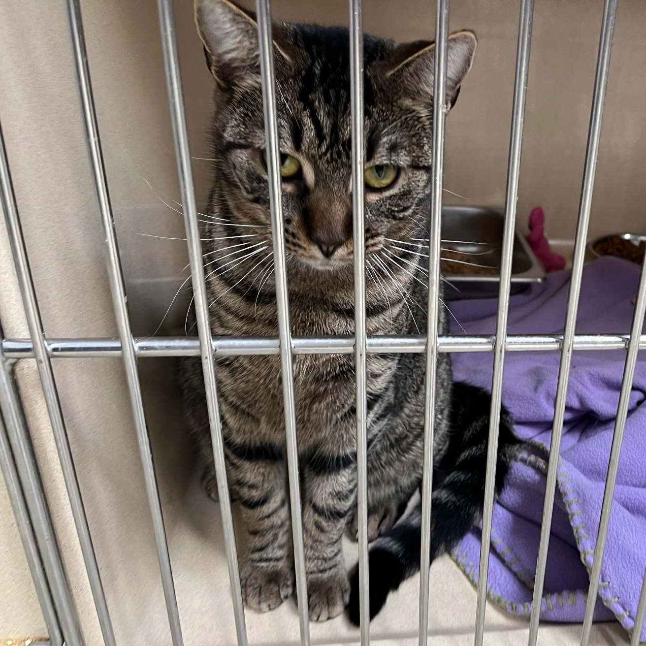 Poppy T. thumbnail 3