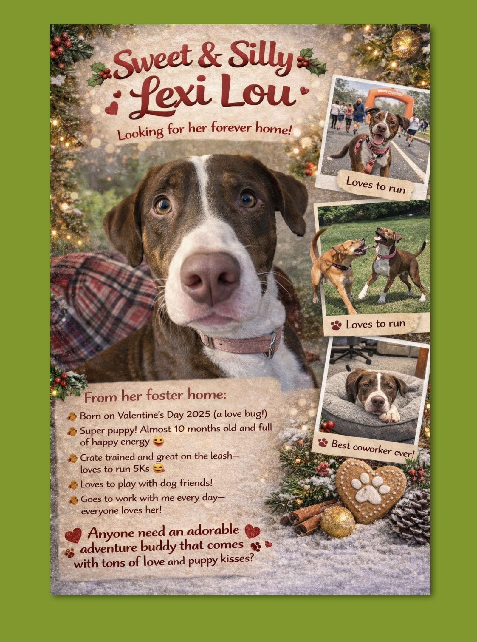 Enlarge Lexi Lou, a Adoptable mixed breed in Thomasville, NC image 1/3