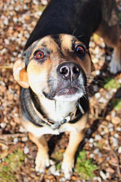 Bley — thumbnail 2