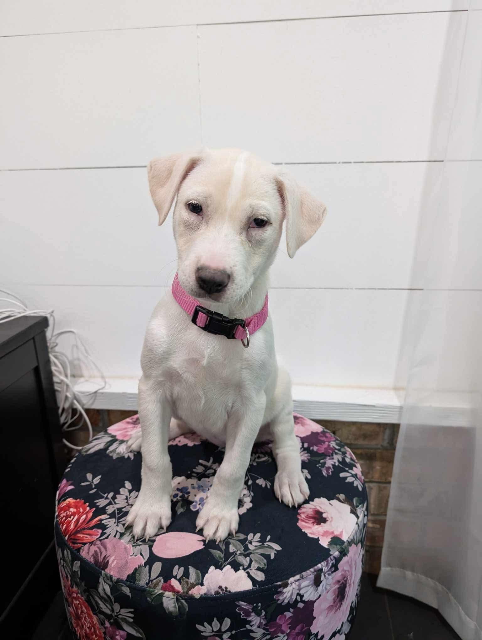 Winnie