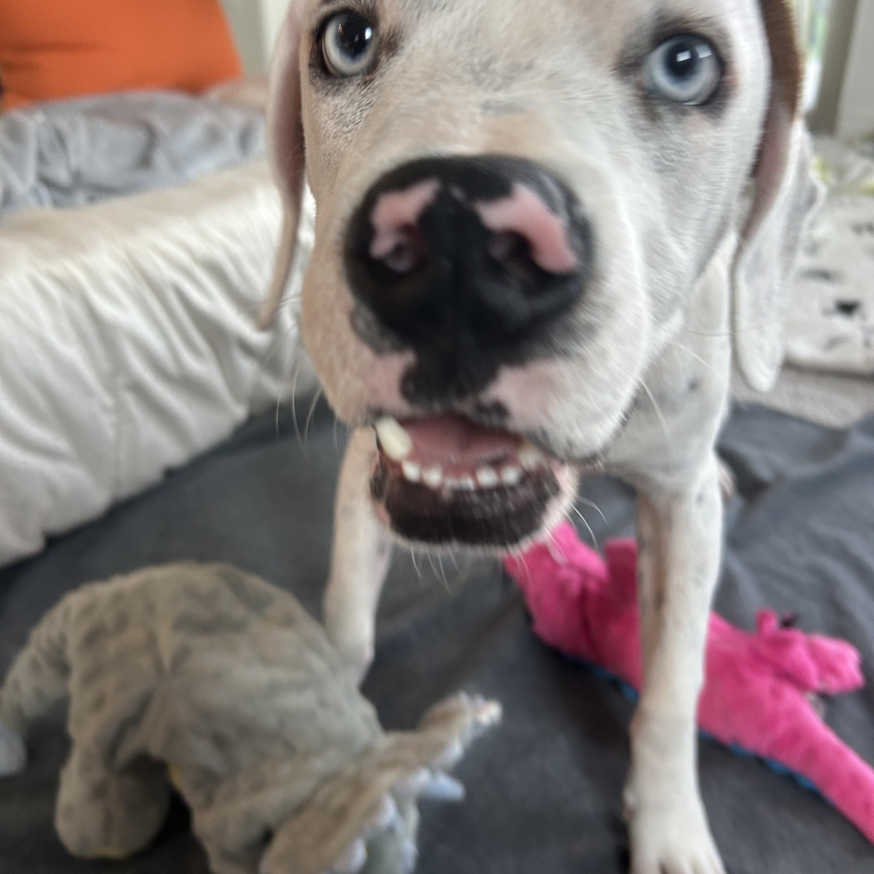 Cooper (local in San Diego)