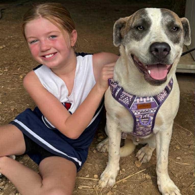 Buster — thumbnail 5