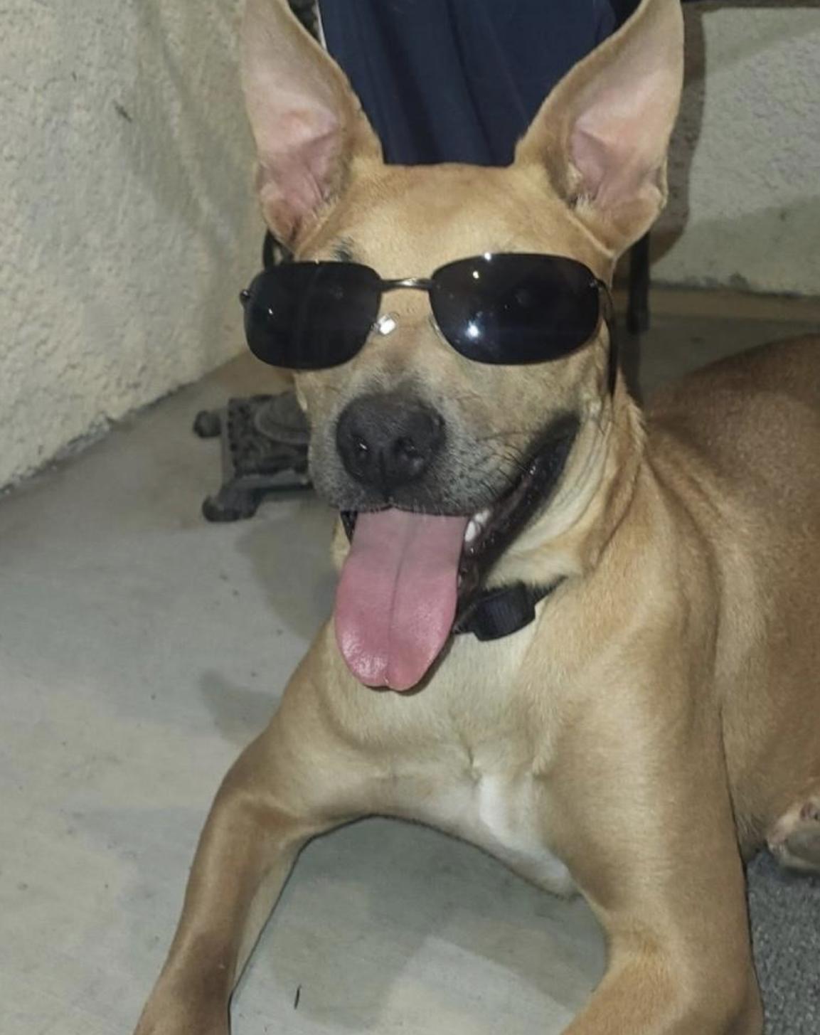 Buddy photo 3