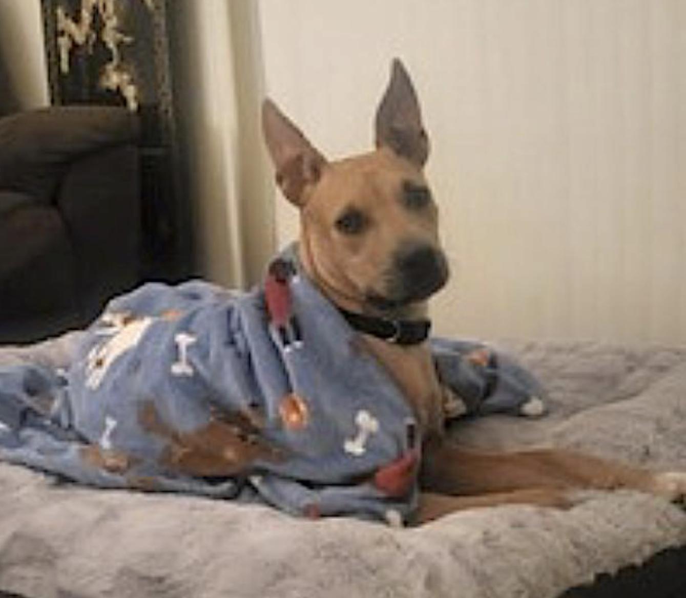 Buddy photo 5