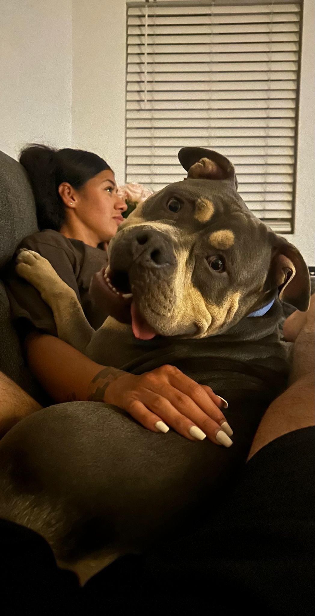 Kali, a Adoptable mixed breed image 4/6