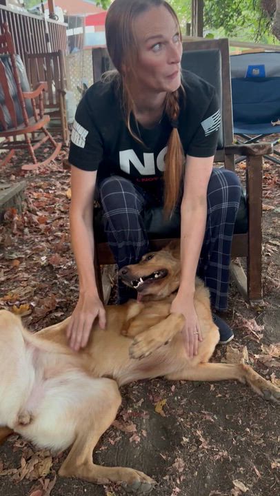 Enlarge Dezi, a Adoptable mixed breed in Auburn, WA video 6/6
