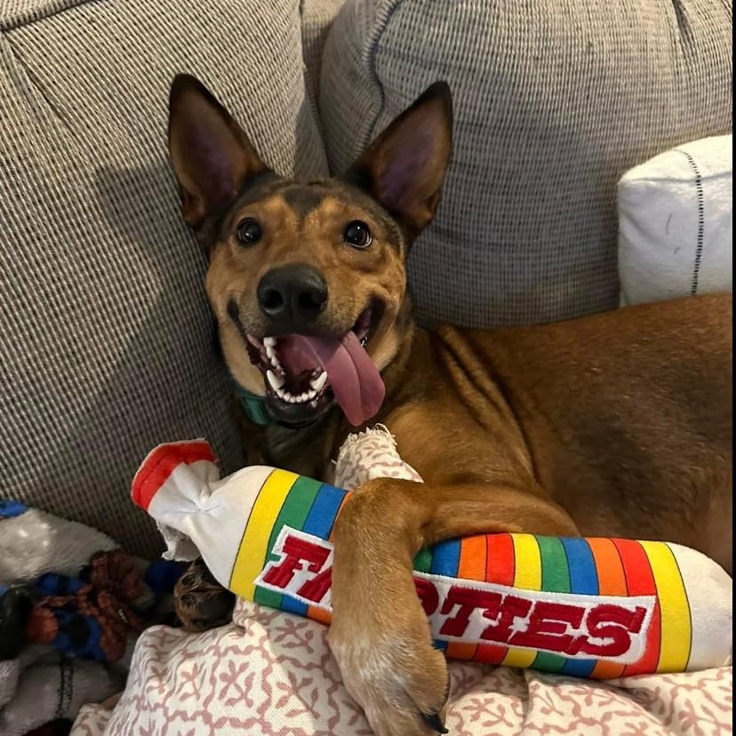Gus
