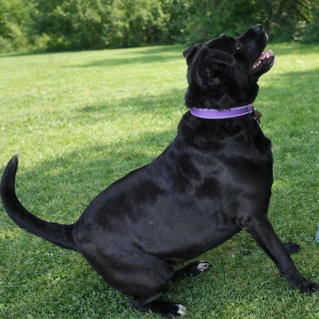 Nina — thumbnail 5