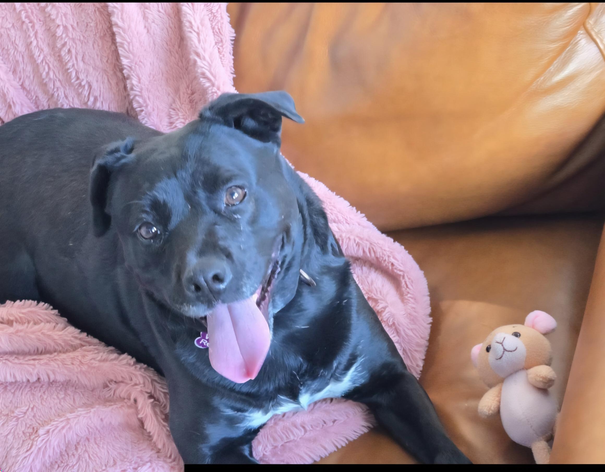 Nina — thumbnail 6