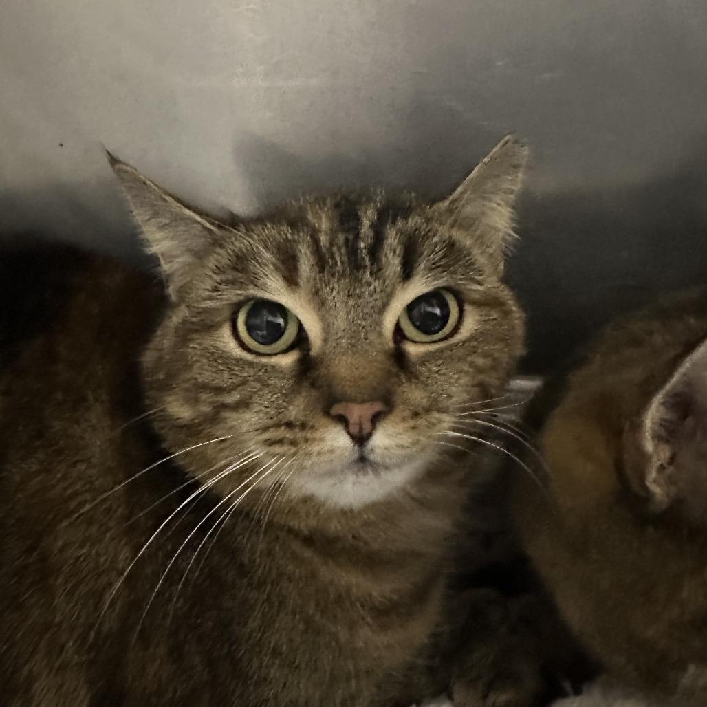 Swirl — thumbnail 2