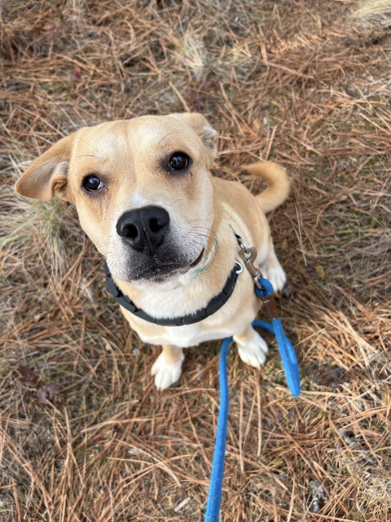 Daisy Mae thumbnail 3