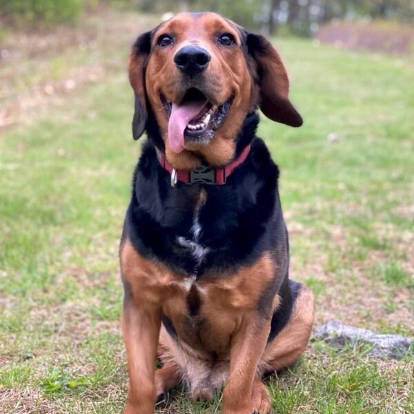 Gus