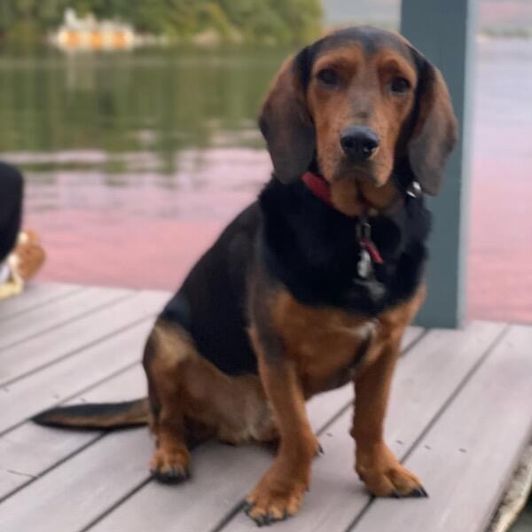 Gus