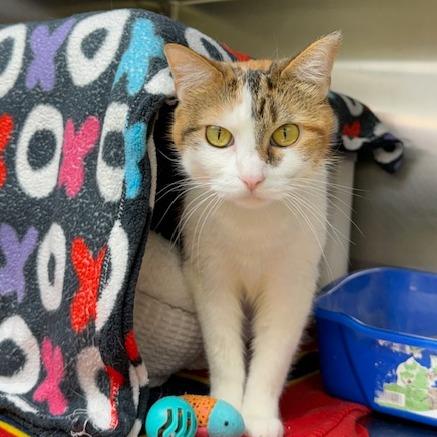 Darla — thumbnail 2