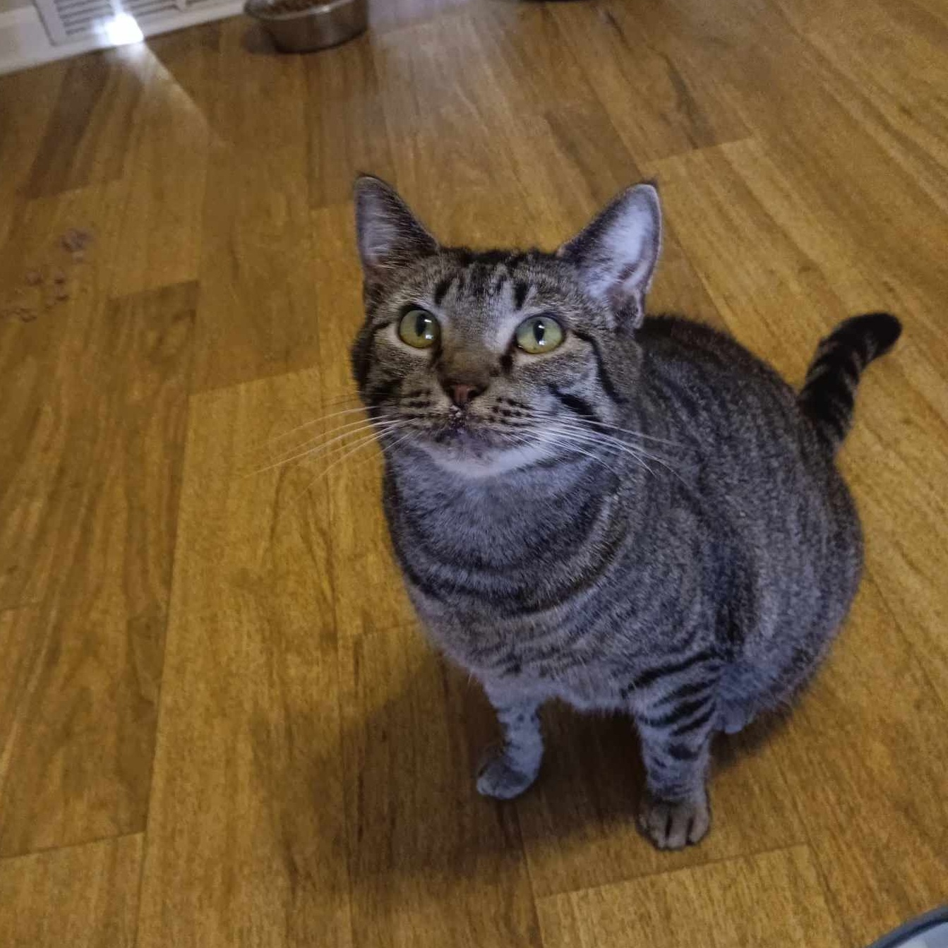 Kiri 6