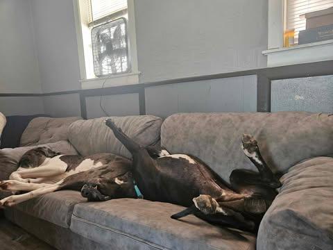 Tarin (bonded w/ Moonwatcher)