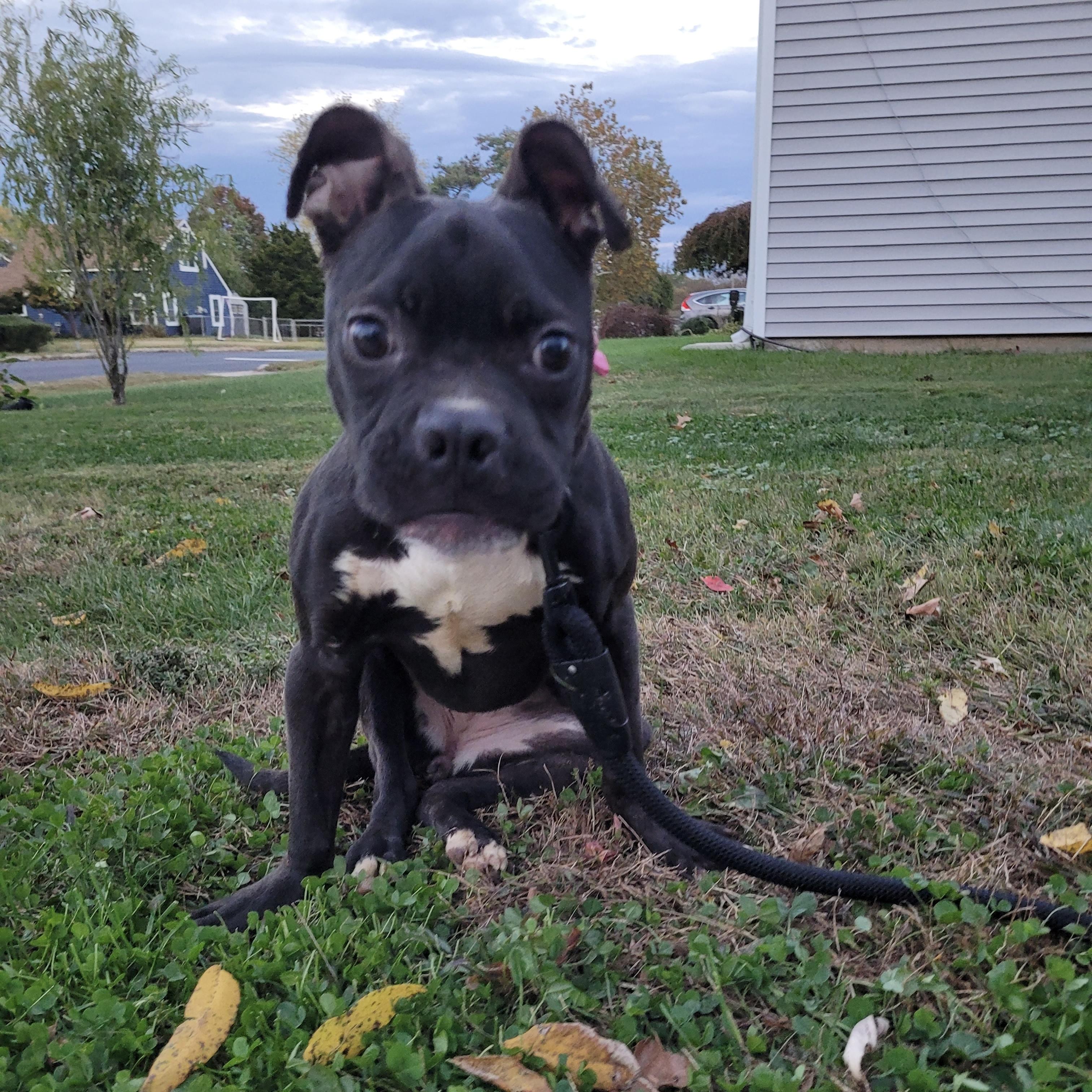 LANEY