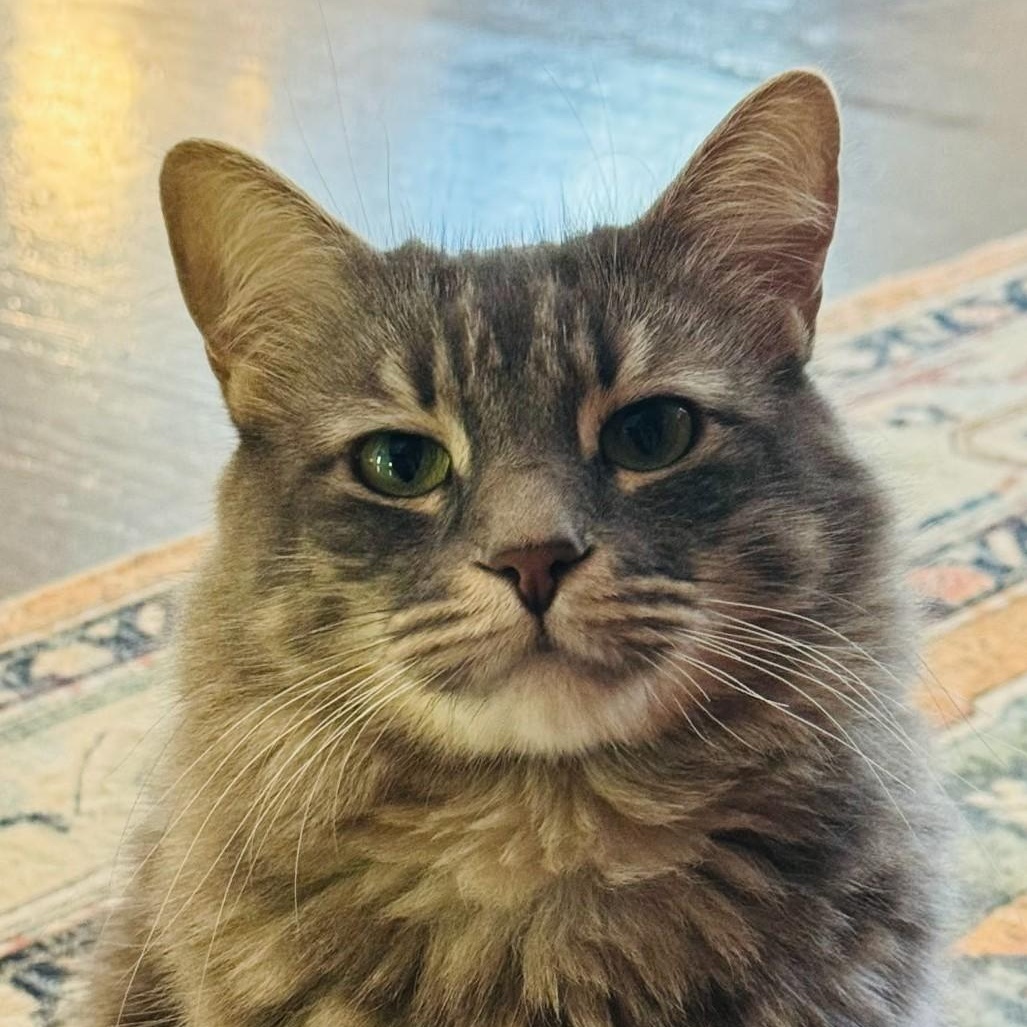 Athena