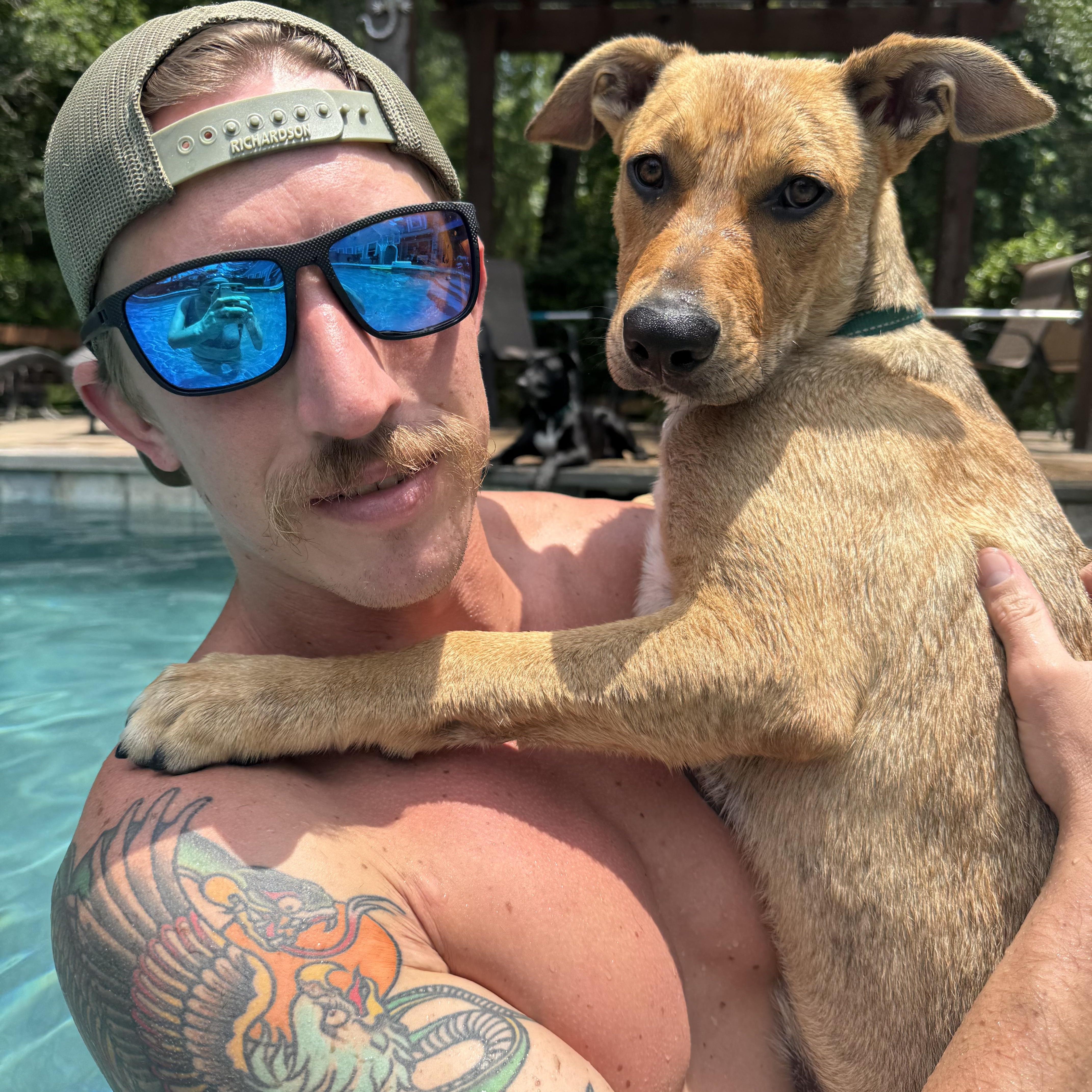 Ryder, a Adoptable mixed breed in Rochester, NY image 5/6