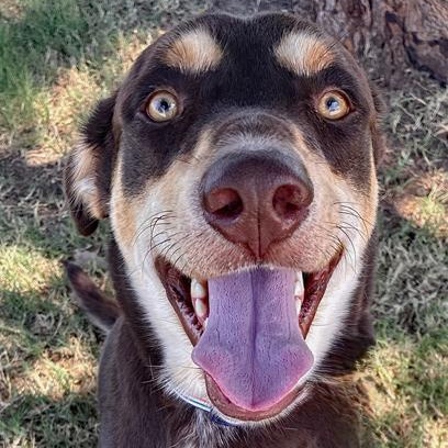 Copper