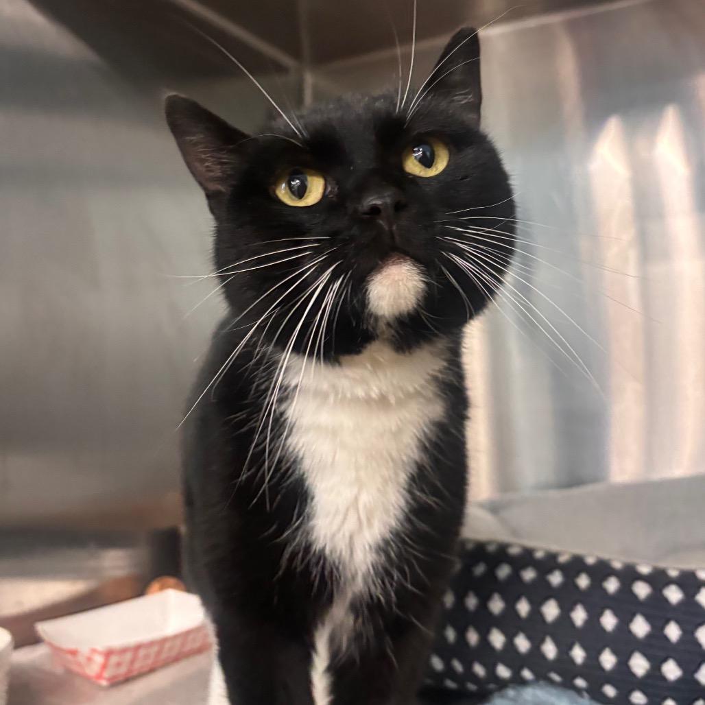 Charlotte — thumbnail 2