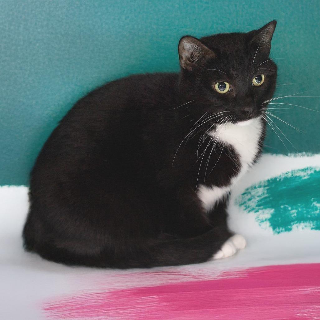 Charlotte — thumbnail 3