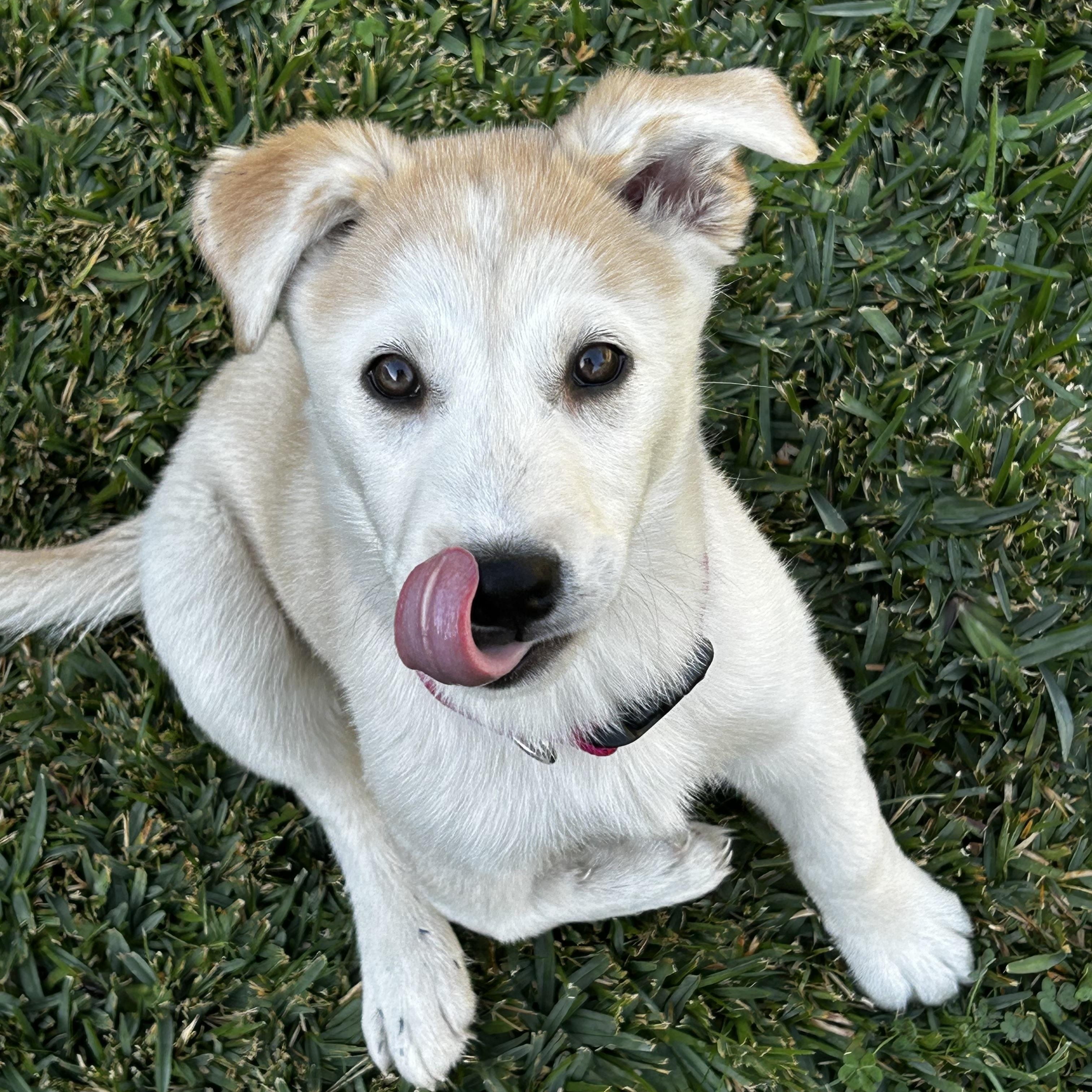 Abby — thumbnail 5