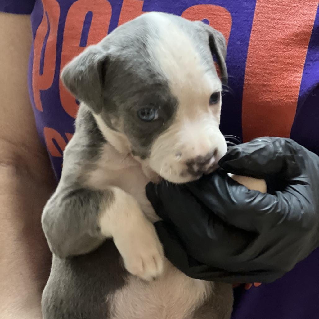 Milky Way — thumbnail 2